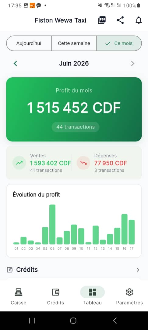 Rapports financiers automatiques